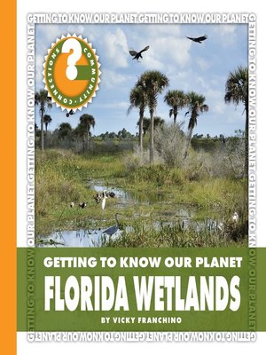 cover image of Florida Wetlands